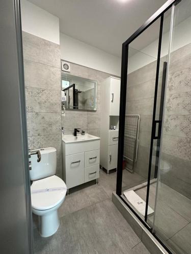 a bathroom with a toilet and a sink and a shower at Cozy Holidays in Center of Suceava Esplanada in Suceava