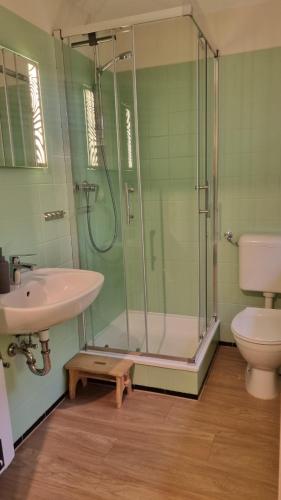 a bathroom with a shower and a sink and a toilet at Ferienhaus Corinna Bisping in Ollsen