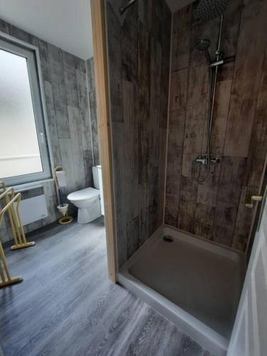 une salle de bain avec douche et toilettes dans l'établissement Maison Les Cordiers, au Tréport