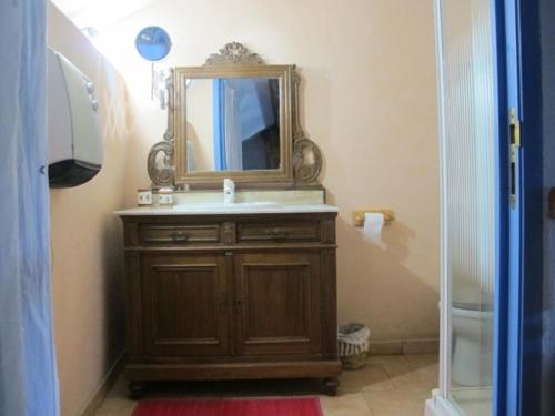 uma casa de banho com um lavatório e um espelho em Lou Cabanis em Saint-Germain-de-Calberte