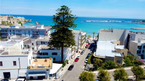 a city street with buildings and a tree at Terrazza Levante - Boutique rooms in Otranto