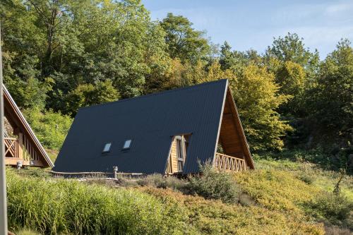 a house with a black roof on a hill with trees at Chalets Na'Thur lodge in Fellering