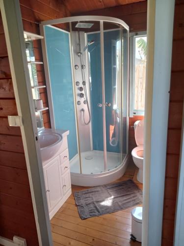 ein Bad mit einer Dusche und einem WC in der Unterkunft Bungalow des papayes in Saint-Louis