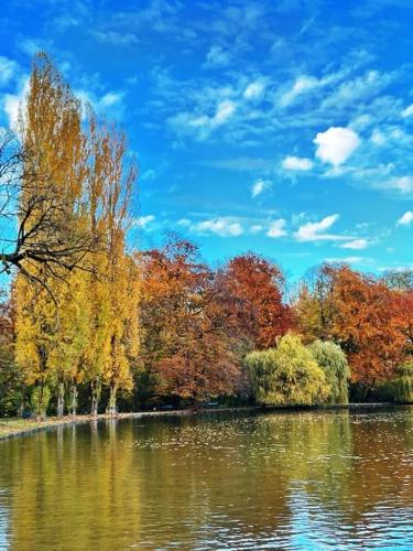 a body of water with trees in the background at Hotel Occam in Munich