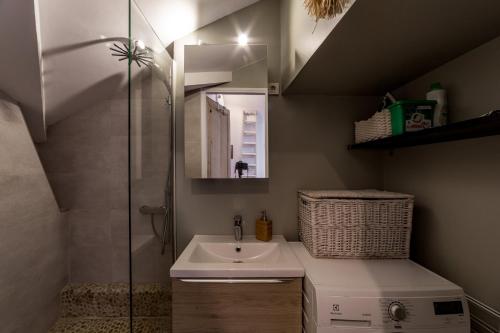 La salle de bains est pourvue d'un lavabo et d'une douche. dans l'établissement The artistic loft of Croix-Rousse AIL, à Lyon