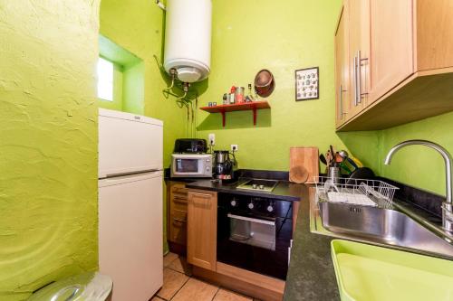 - une cuisine verte avec évier et réfrigérateur dans l'établissement La Loge des Avocats du vieux Lyon AIL, à Lyon