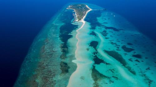 an aerial view of a beach in the ocean at Kuredu Island Resort & Spa in Kuredu