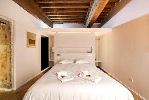 AllinLyon | Suite de charme - cœur du Vieux Lyon