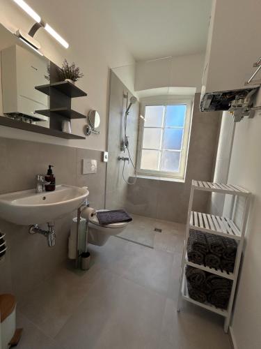 a bathroom with a sink and a shower and a mirror at CityLake G23 Apartments mit kostenloser Parkmöglichkeit !! in Gmunden