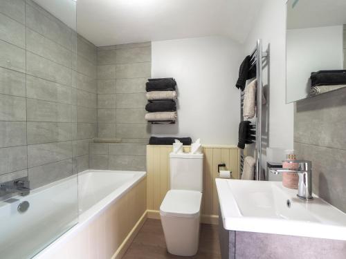 a bathroom with a tub and a toilet and a sink at Bryndalis Ciliau Aeron in Ciliau-Aeron