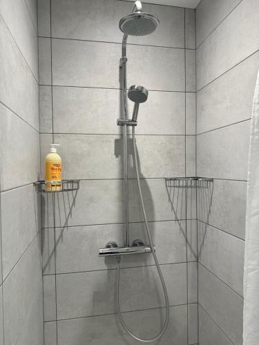 une douche avec pommeau de douche dans une salle de bain dans l'établissement ღ Maison Orion - T3 Spacieux, Jardin et proche mer, à Sainte-Marie de Ré