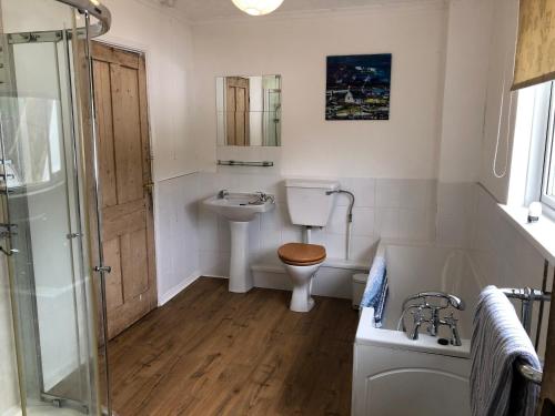 ein Bad mit einem WC, einem Waschbecken und einer Dusche in der Unterkunft Ffynnonddewi Llandygwydd in Cenarth