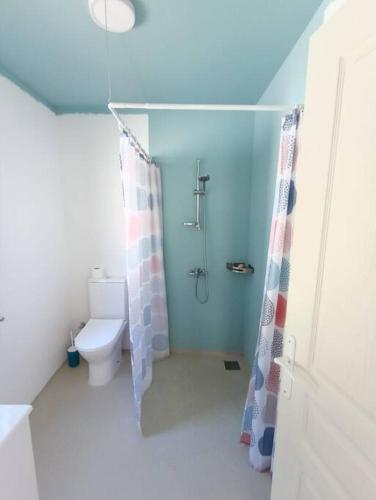 a small bathroom with a shower and a toilet at LnD Apartments - Le Morne - One Bedroom in La Gaulette