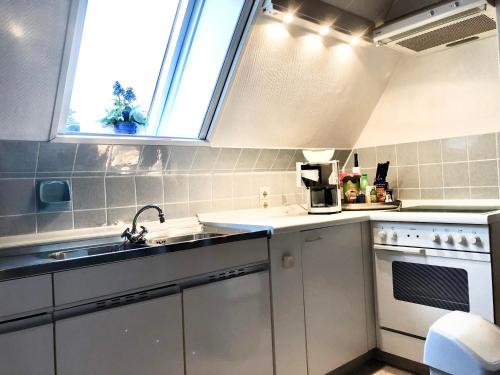 une cuisine avec un évier et une fenêtre dans l'établissement Ferienwohnung Eulenhof -direkt an der Este, à Jork