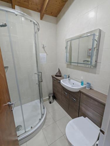 a bathroom with a shower and a toilet and a sink at Harbour Haven: Spectacular Views in Porthmadog