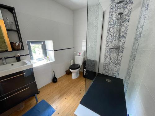 a bathroom with a toilet and a glass shower at Le gîte du Bois de Sanzay in Saint-Martin-de-Sanzay