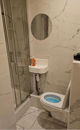une salle de bain avec une douche, des toilettes et un lavabo dans l'établissement Appartement central 7 eme arrondissement, à Paris