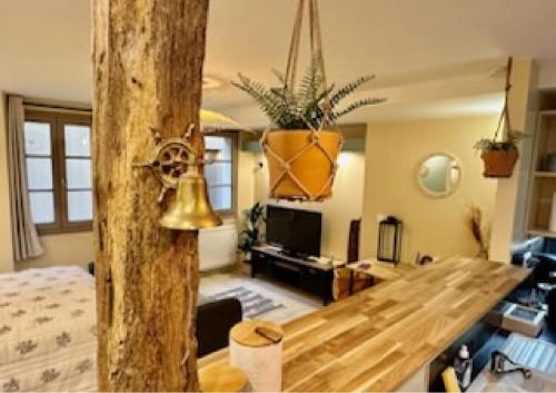 Superbe studio centre Limoges