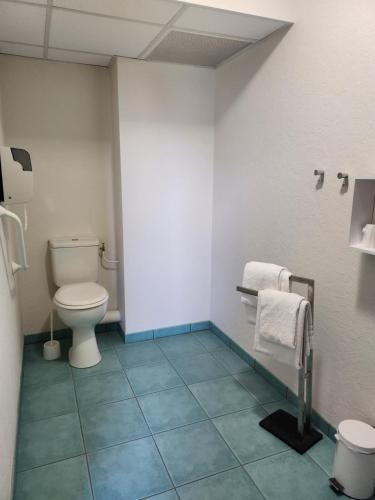 a bathroom with a toilet and a blue tile floor at Relais De La Grange in Nort-sur-Erdre