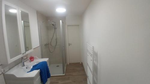 a white bathroom with a sink and a shower at Ferienappartement mit Schleiblick 20 in Karschau