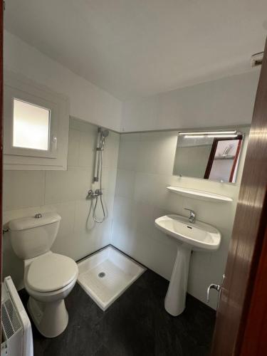 a bathroom with a toilet and a sink at Camping La Châtaigneraie in Agos-Vidalos