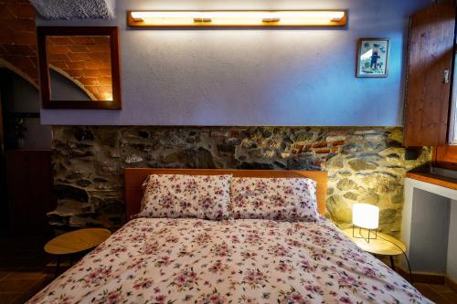Vilamaniscle的住宿－Ca La Serena - Sant Josep，一间卧室设有一张床和石墙