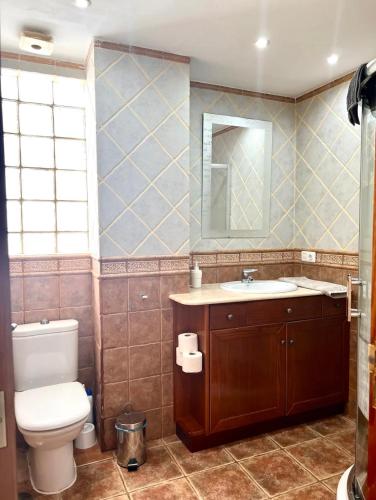 a bathroom with a toilet and a sink and a mirror at Edificio Rambla Pulido in Santa Cruz de Tenerife