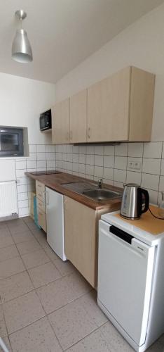 a kitchen with a sink and a stove top oven at Apartmán STŘEVLIK Oldřichov v Hájích in Oldřichov v Hájích