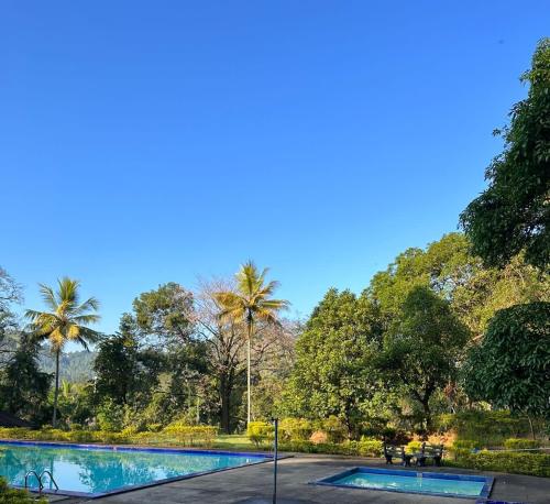 a swimming pool in a park with palm trees at Kothmale Holiday Resort in Gampola