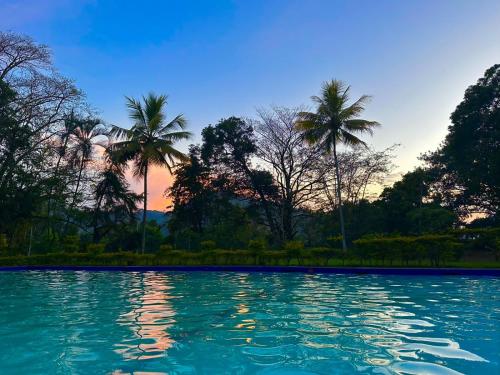 una piscina de agua con palmeras en el fondo en Kothmale Holiday Resort en Gampola