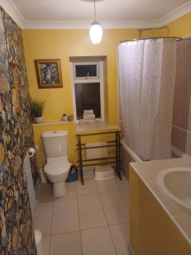 a bathroom with a toilet and a sink at Large countryside home in Tow Law