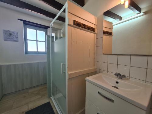 y baño con lavabo y ducha acristalada. en Gîte Migné, 3 pièces, 4 personnes - FR-1-591-366, en Rosnay