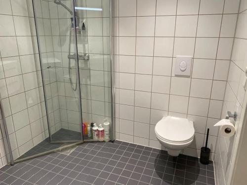 a bathroom with a shower and a toilet at Strøken leilighet inkl parkeringskjeller. in Trondheim