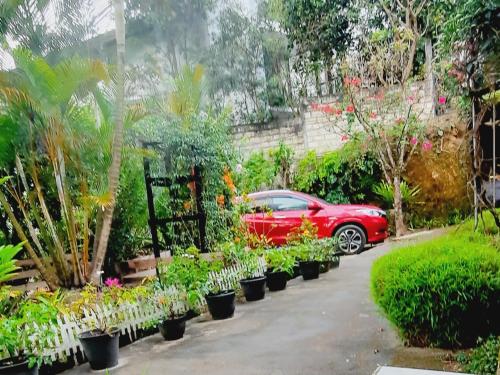 a red car parked next to a bunch of plants at Mountain Paradise Homestay in Bandarawela