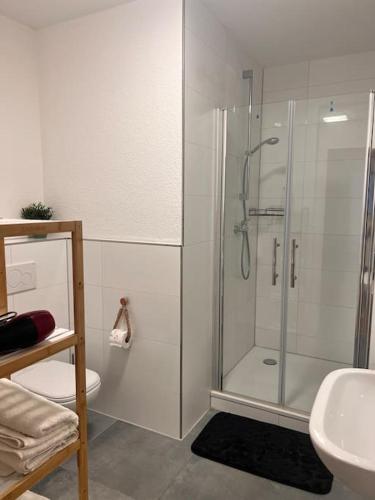 ein Bad mit einer Dusche, einem WC und einem Waschbecken in der Unterkunft Entire Flat for you Schwetzingen,Mannheim & HD in Oftersheim