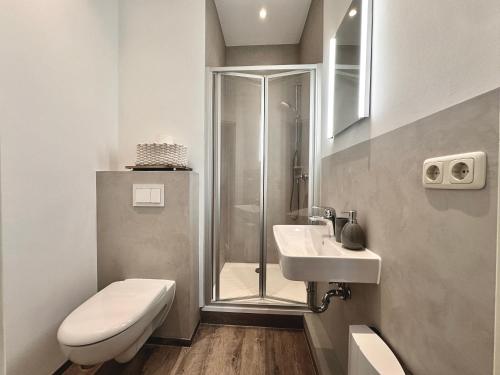 a bathroom with a shower and a toilet and a sink at Ferienwohnung an der Schelfkirche in Schwerin