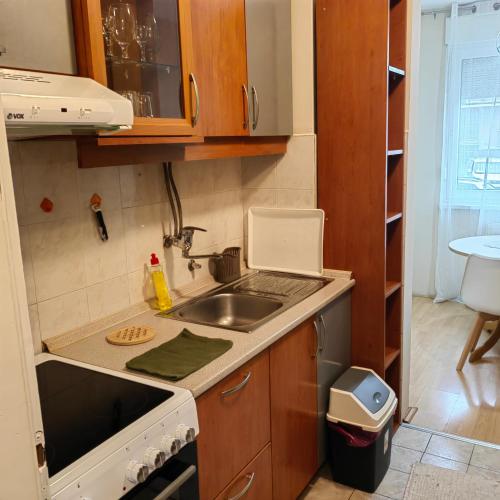 a small kitchen with a sink and a stove at Sabac City Apartman Centre S in Šabac