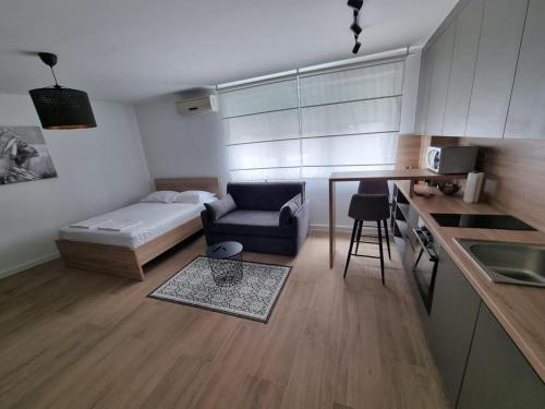 Daydream Arena Studio