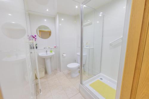 uma casa de banho com um chuveiro, um WC e um lavatório. em Quay Head View Aparthotel em Stranraer