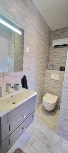 een badkamer met een wastafel en een toilet bij Chez Manon et Stéphane in Prissé