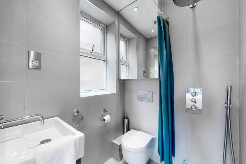 a bathroom with a toilet and a sink and a shower at Modern 3 Bed Apartment in Hampstead in London