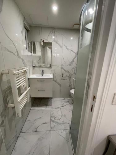 een witte badkamer met een wastafel en een toilet bij Studio confortable 5’ metro in Vitry-sur-Seine