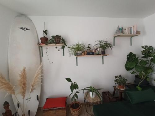 Photo de la galerie de l'établissement T2 hyper centre, à Sète