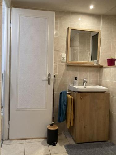 une salle de bain avec un lavabo et un miroir dans l'établissement Le Berger du Salzbach, à Romanswiller