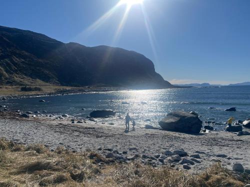 a person walking on a beach near the water at Ytterland Apartments in Ålesund