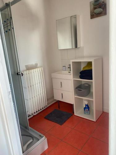 une petite salle de bain avec un lavabo et un miroir dans l'établissement Appartement cosy centre ville, à Beauvais