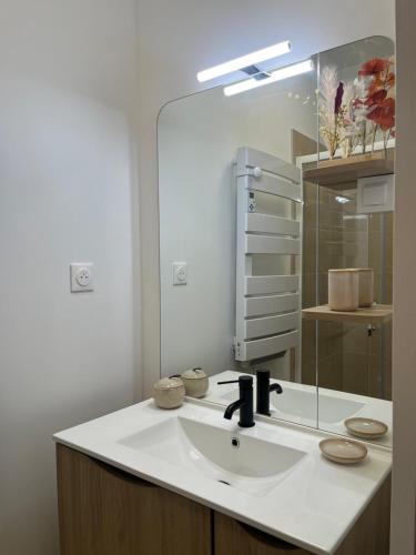 une salle de bain avec un lavabo et un miroir dans l'établissement Studio à louer sur l application a i r b n b - Le Petit Fer à Cheval Centre-Ville, à Toulouse