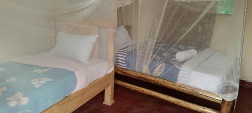 two twin beds in a room with a curtain at Elephant View Lodge in Kasenyi