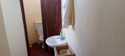La salle de bains est pourvue d'un lavabo blanc et de toilettes. dans l'établissement Elephant View Lodge, à Kasenyi