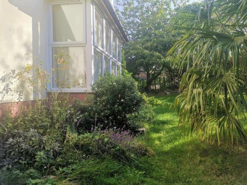 ogród przed domem z oknem w obiekcie Beautiful Airbnb with Ensuite Rooms w mieście Shenley Church End